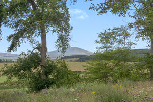 Photo 24- click for photo gallery